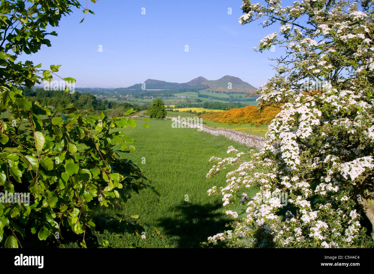 Eildon hills scotts view hi-res stock photography and images - Alamy