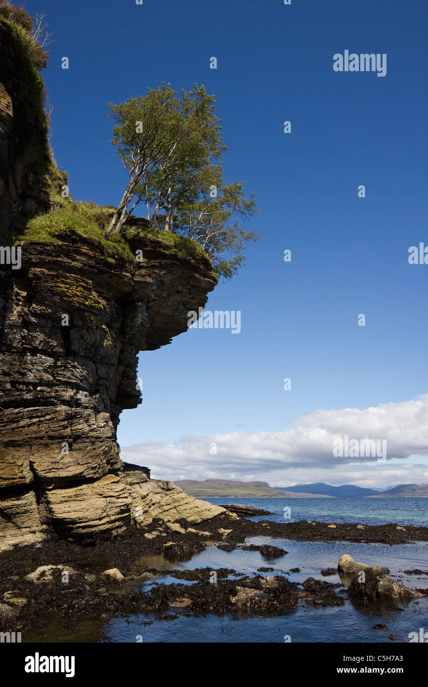 Overhanging trees on eroded rocky sea cliffs on the shores of Loch Slapin near Elgol with blue sky, Isle of Skye, Scotland Stock Photo