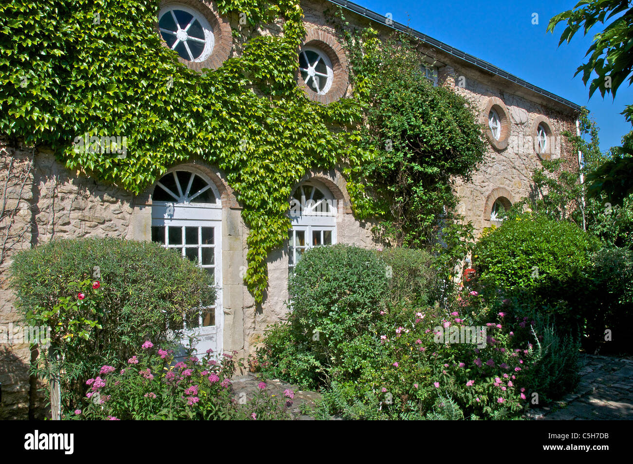 Ivy covered house Loue in region of Pays de Loire department of Sarthe France Stock Photo