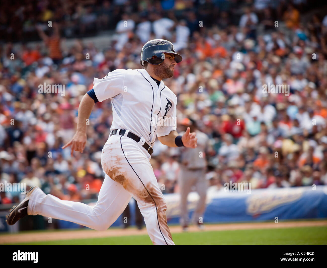 Detroit Tigers catcher Alex Avila heading towards 3rd base. Stock Photo