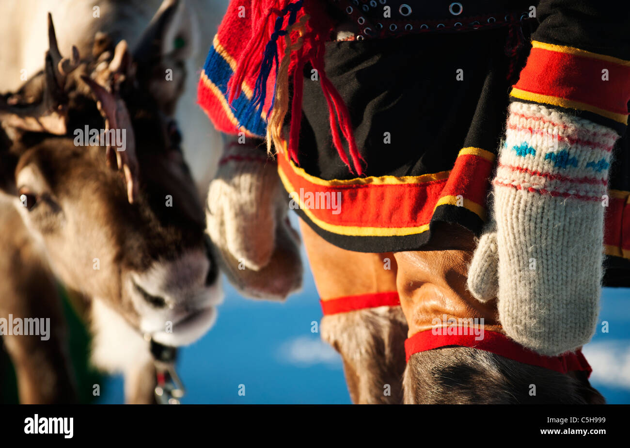 Sami and reindeer, Lapland, Finland Stock Photo