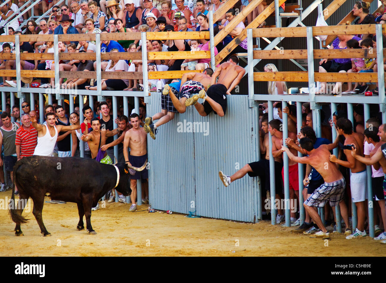 Young Spanish Revelers at the  'Bous a la  Mar' or Bulls to the Sea festival in Denia ,Spain   2011 Stock Photo