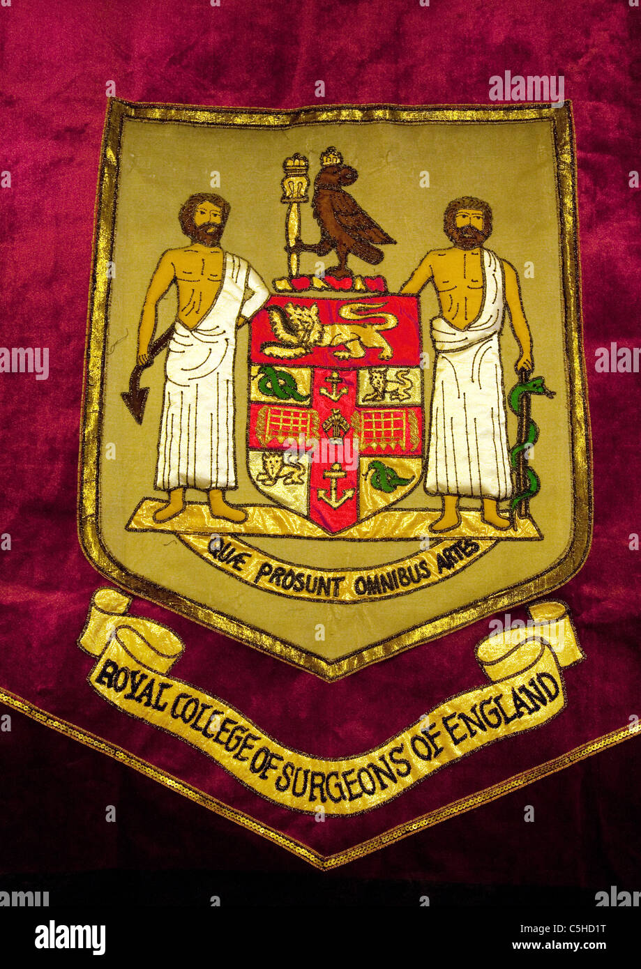 Tapestry of the coat of arms, the Royal College of Surgeons, London UK Stock Photo