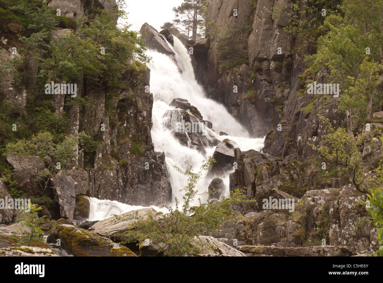 Rhaeadr Ogwen waterfall, Nant Ffrancon, Snowdonia National Park, Wales, UK Stock Photo