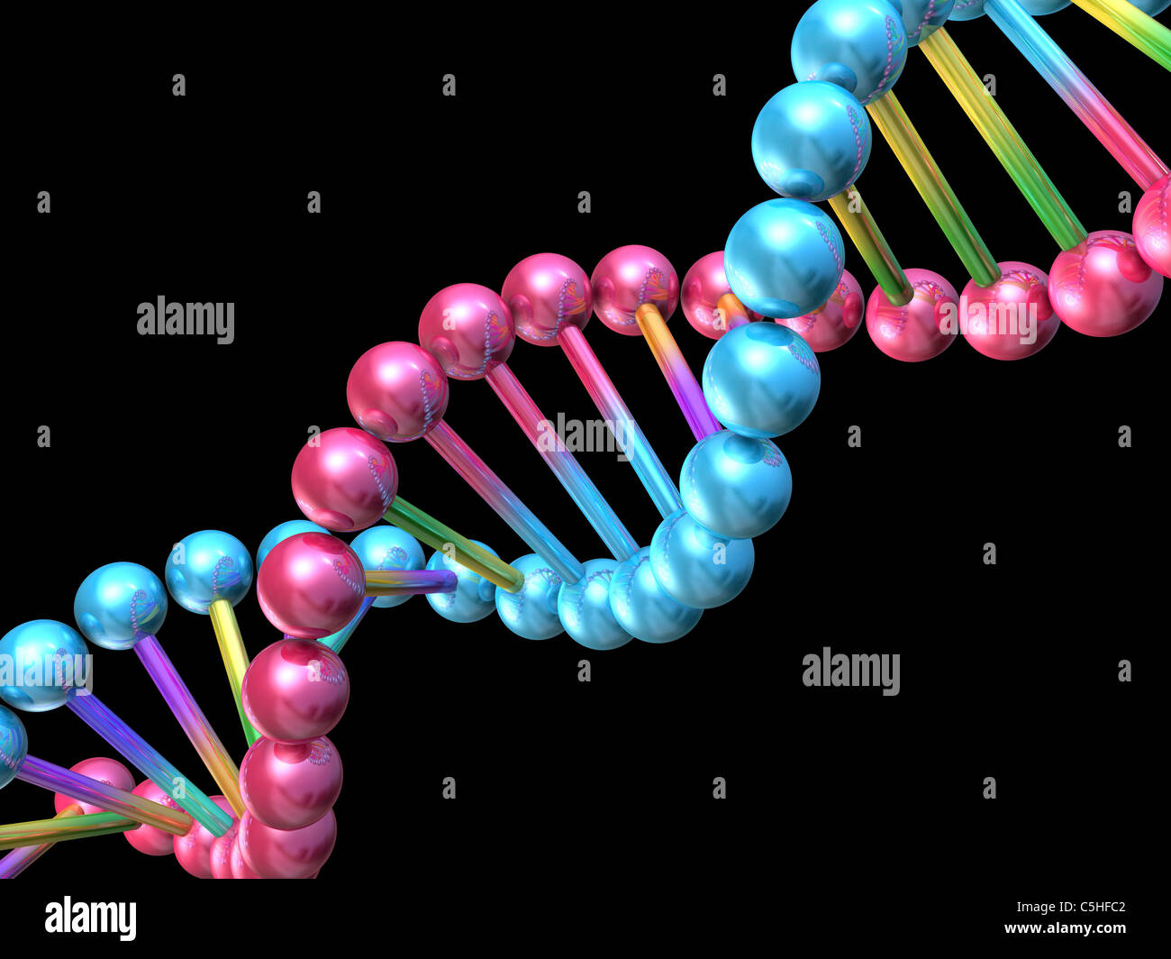 DNA molecule, computer artwork Stock Photo