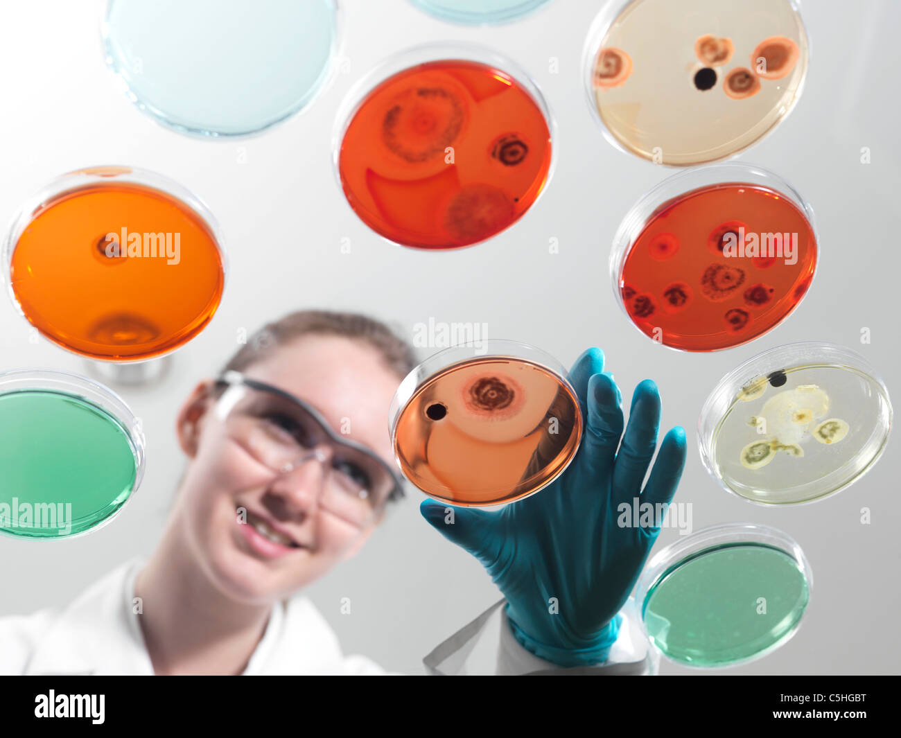 Microbiology research Stock Photo