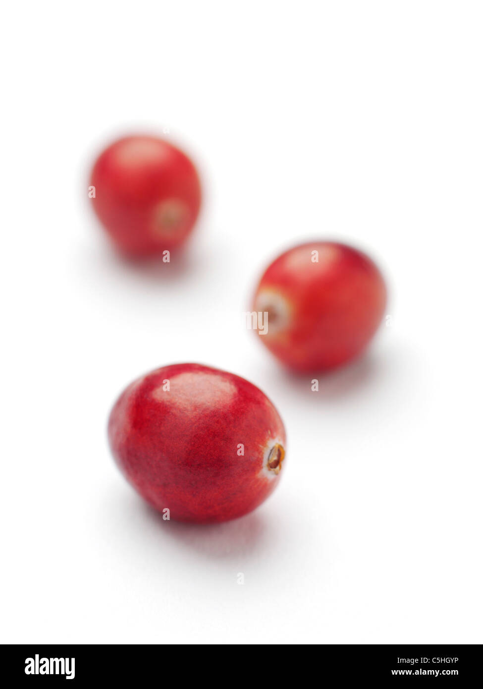 Cranberries Stock Photo
