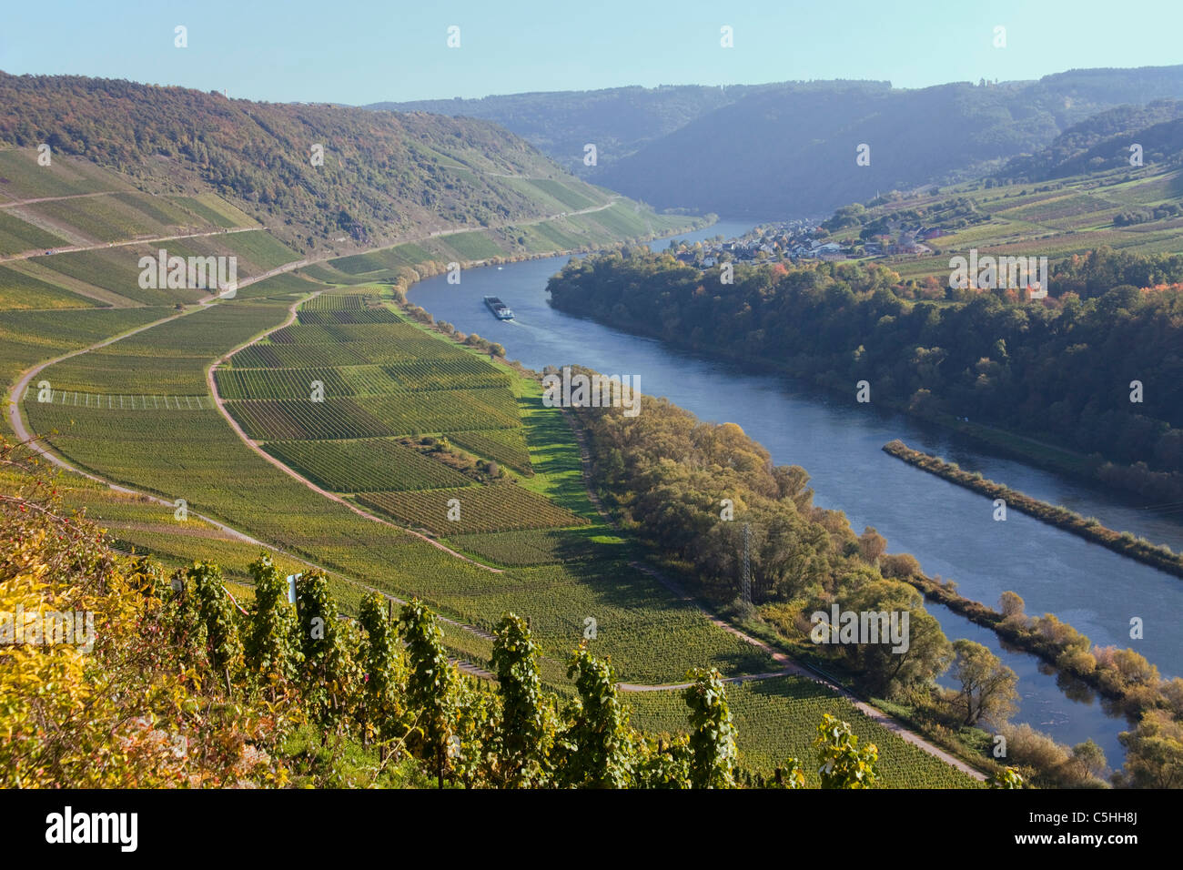 Mosel im Herbst, bei Briedel, Mosel, Moselle at autumn, vineyard Stock Photo