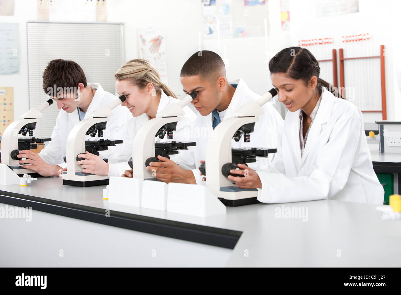 Biology lesson Stock Photo Alamy
