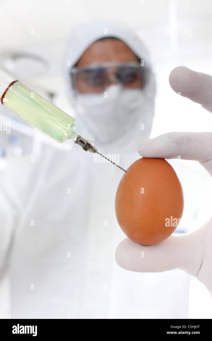 modified egg Stock Photo Alamy