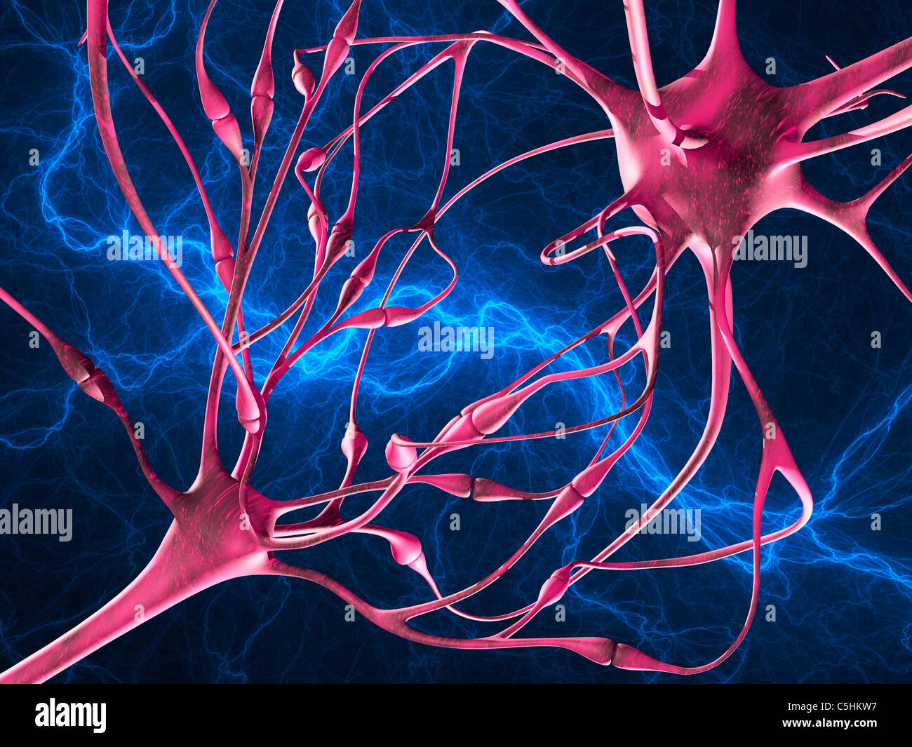 Molecule biology nerve cell hi-res stock photography and images - Alamy
