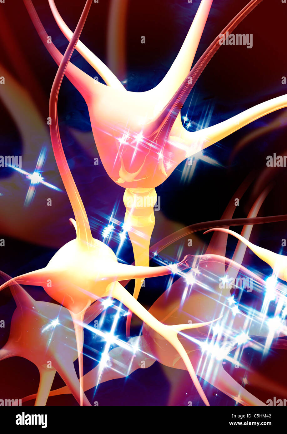 Nerve Cells Artwork Stock Photo Alamy Nerve Cells Artwork Stock Photo Alamy