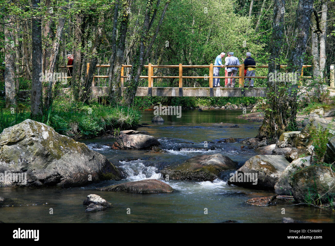 Seniors chat on a wooden bridge over a river at the 'Fosse Arthour' (French arthurian site and climbing site, Normandy). Stock Photo