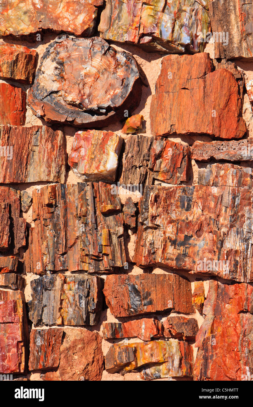 Petrified wood, Petrified Forest National Park, Arizona, USA Stock