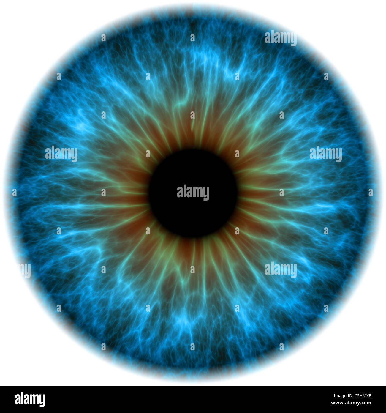 Iris arts hi-res stock photography and images - Alamy