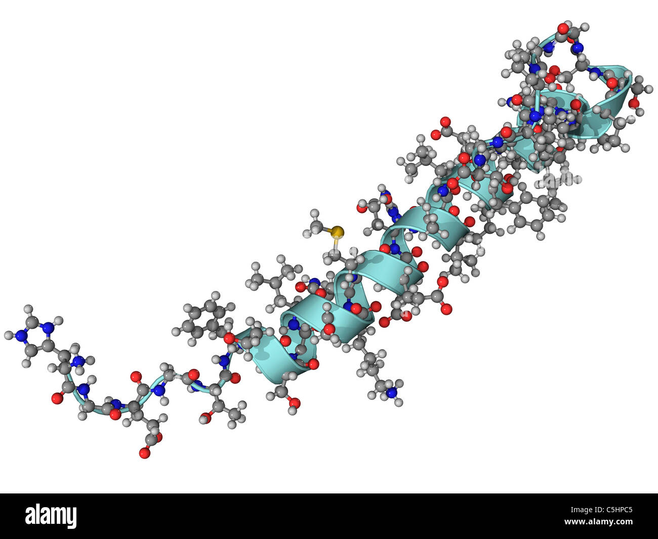 Exendin-4 diabetes drug molecule Stock Photo - Alamy Exendin-4 diabetes drug molecule Stock Photo - Alamy