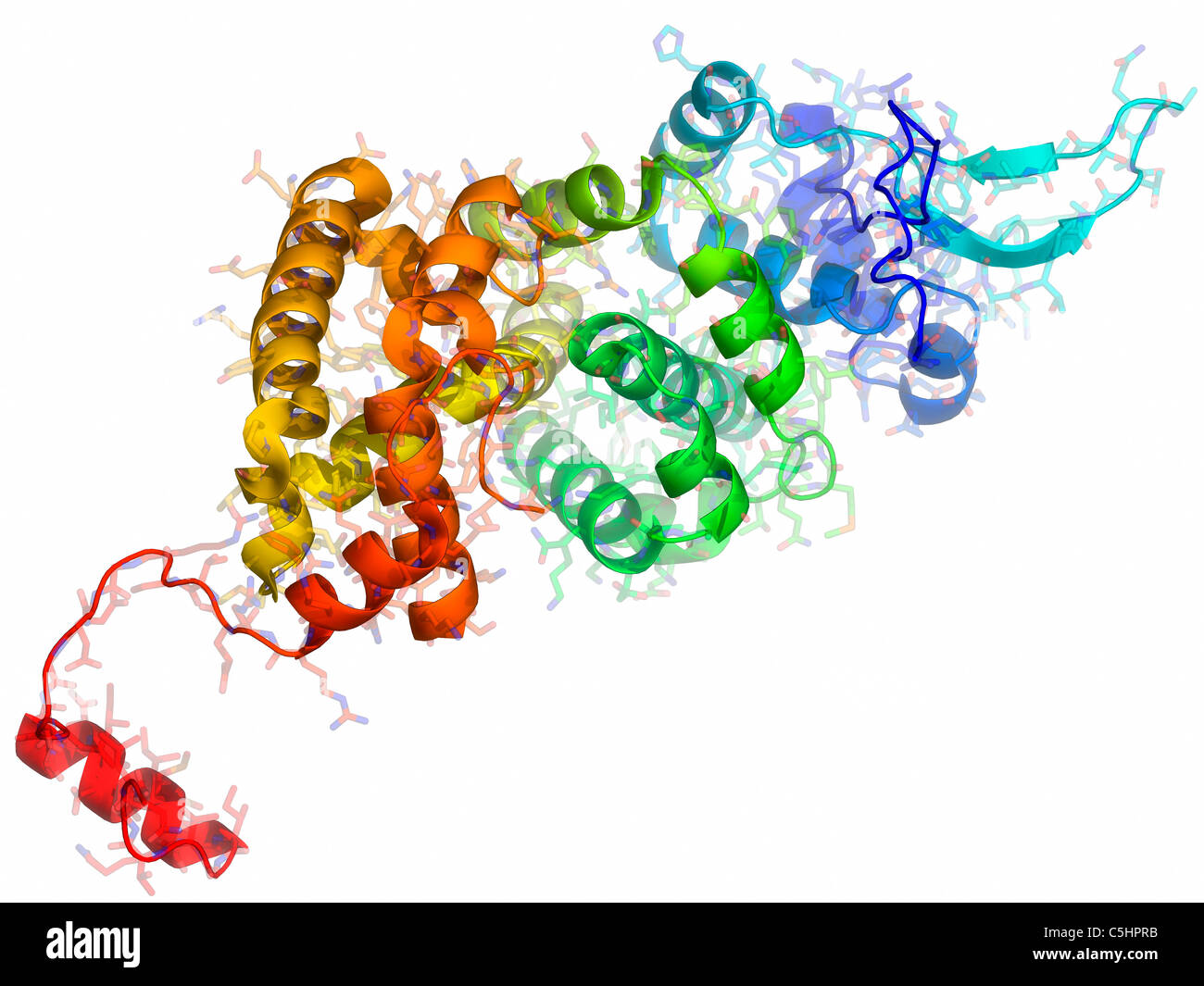 Borna Disease Virus Nucleoprotein Stock Photo Alamy