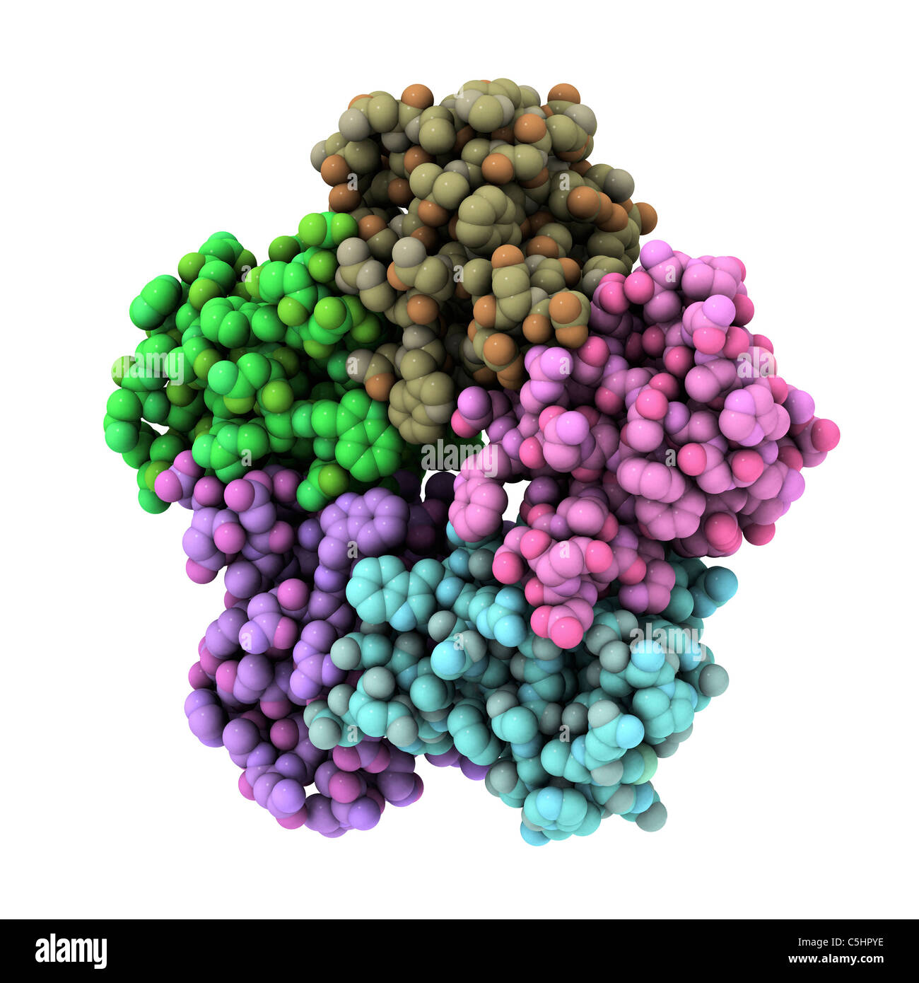 Shigalike toxin I subunit molecule Stock Photo Alamy