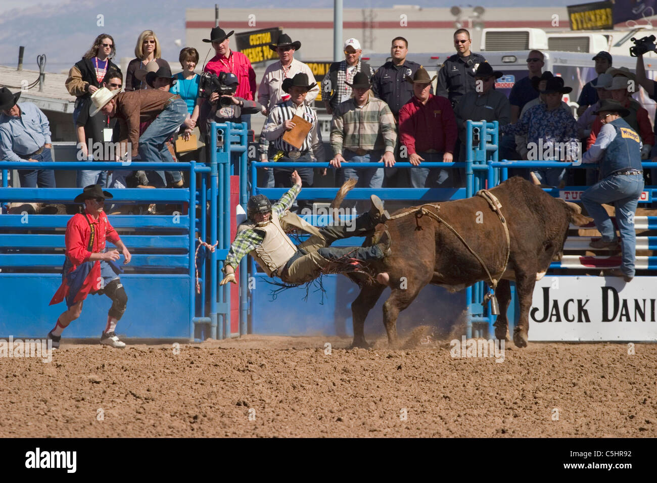 At the Tucson Rodeo riders in the bull riding competition in Tucson, Arizona...For Editorial use only Permission from Pro Rodeo Stock Photo