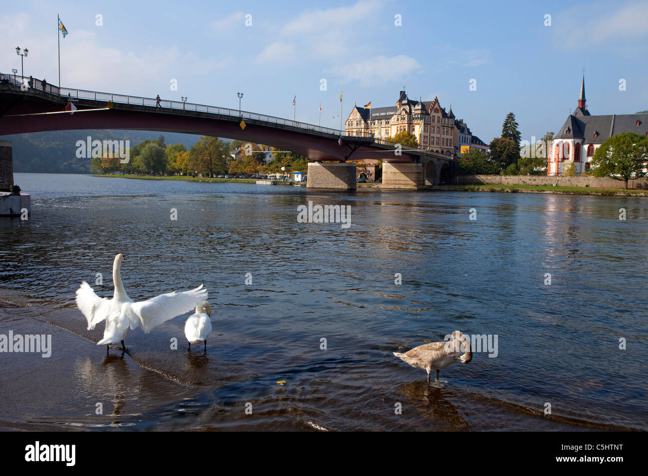 Der Schwan High Resolution Stock Photography And Images Alamy