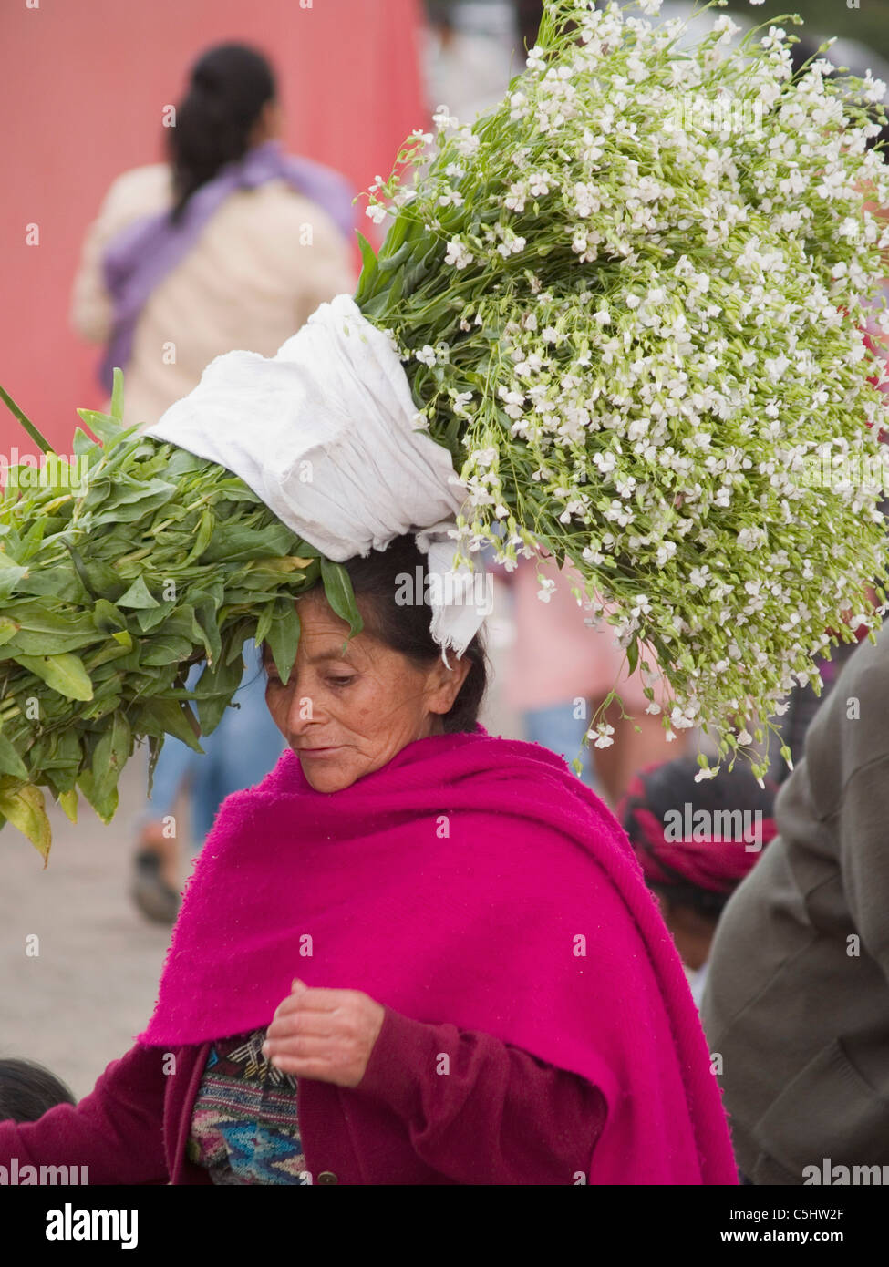 Flower vendor in the market in the city of Antigua, Guatemala Stock