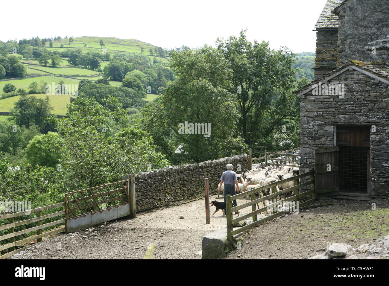 Sheep farm in Troutbeck Windermere Cumbria England UK Stock Photo Alamy