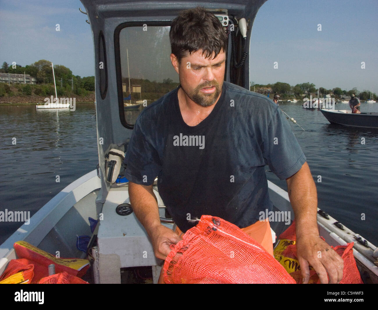 Quahoger (shellfisherman) David Middleton at work raking for clams in Narragansett Bay off Rhode Island (Model Released) Stock Photo