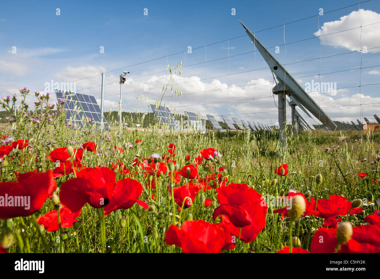 A photo voltaic solar power station near Caravaca, Andalucia, Spain, with wild flowers. Stock Photo