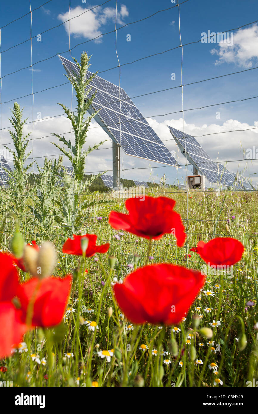 A photo voltaic solar power station near Caravaca, Andalucia, Spain, with wild flowers. Stock Photo