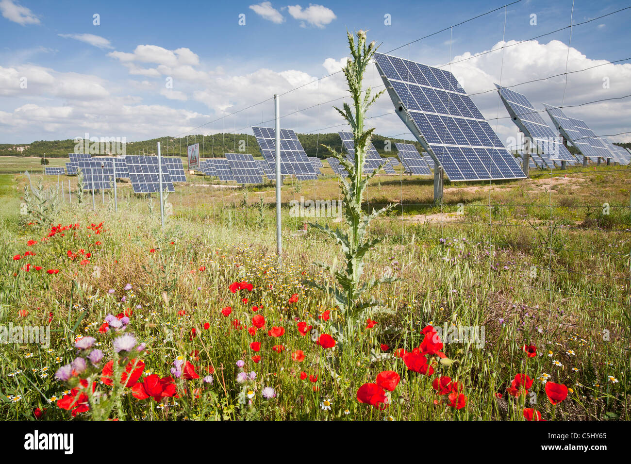 A photo voltaic solar power station near Caravaca, Andalucia, Spain, with wild flowers. Stock Photo