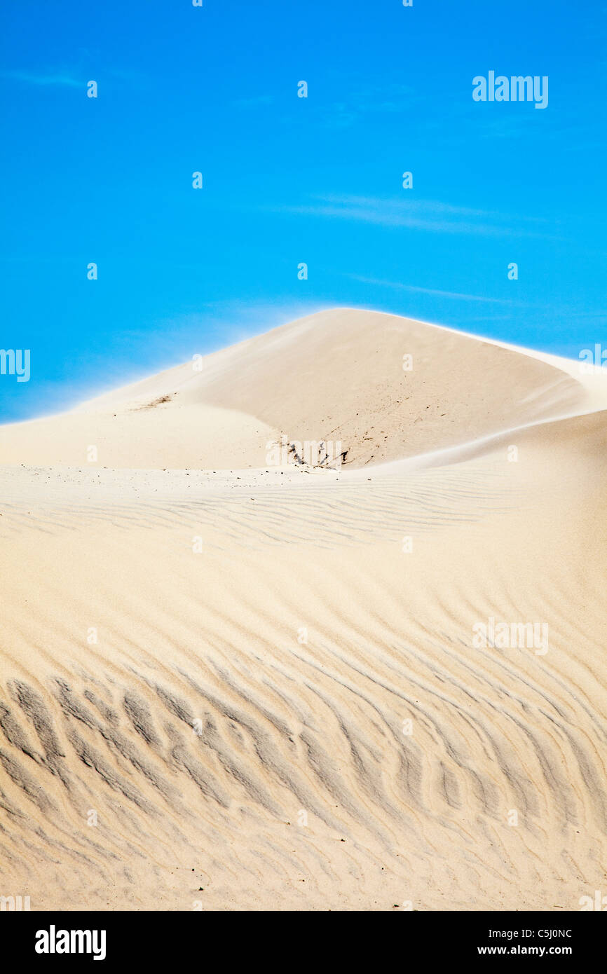 Sand dunes on padre island hi-res stock photography and images - Alamy