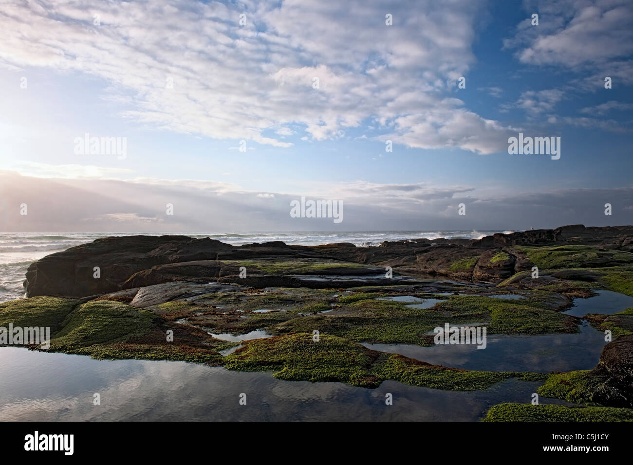 Yachats state park hires stock photography and images Alamy