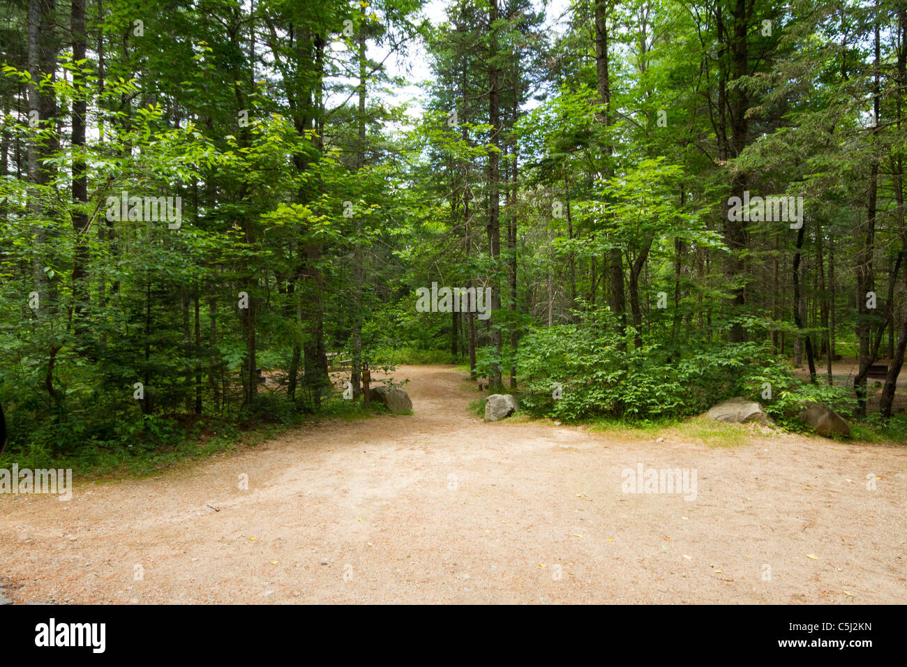 Camping site at Jigger Johnson campground Kancamagus scenic byway