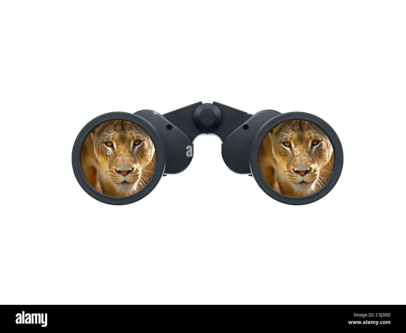 Binoculars isolated against a white background Stock Photo Alamy