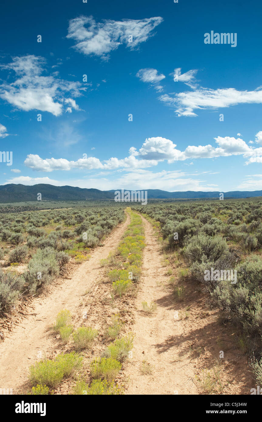 desert road, blue cloudy skys, and a mountain range Stock Photo