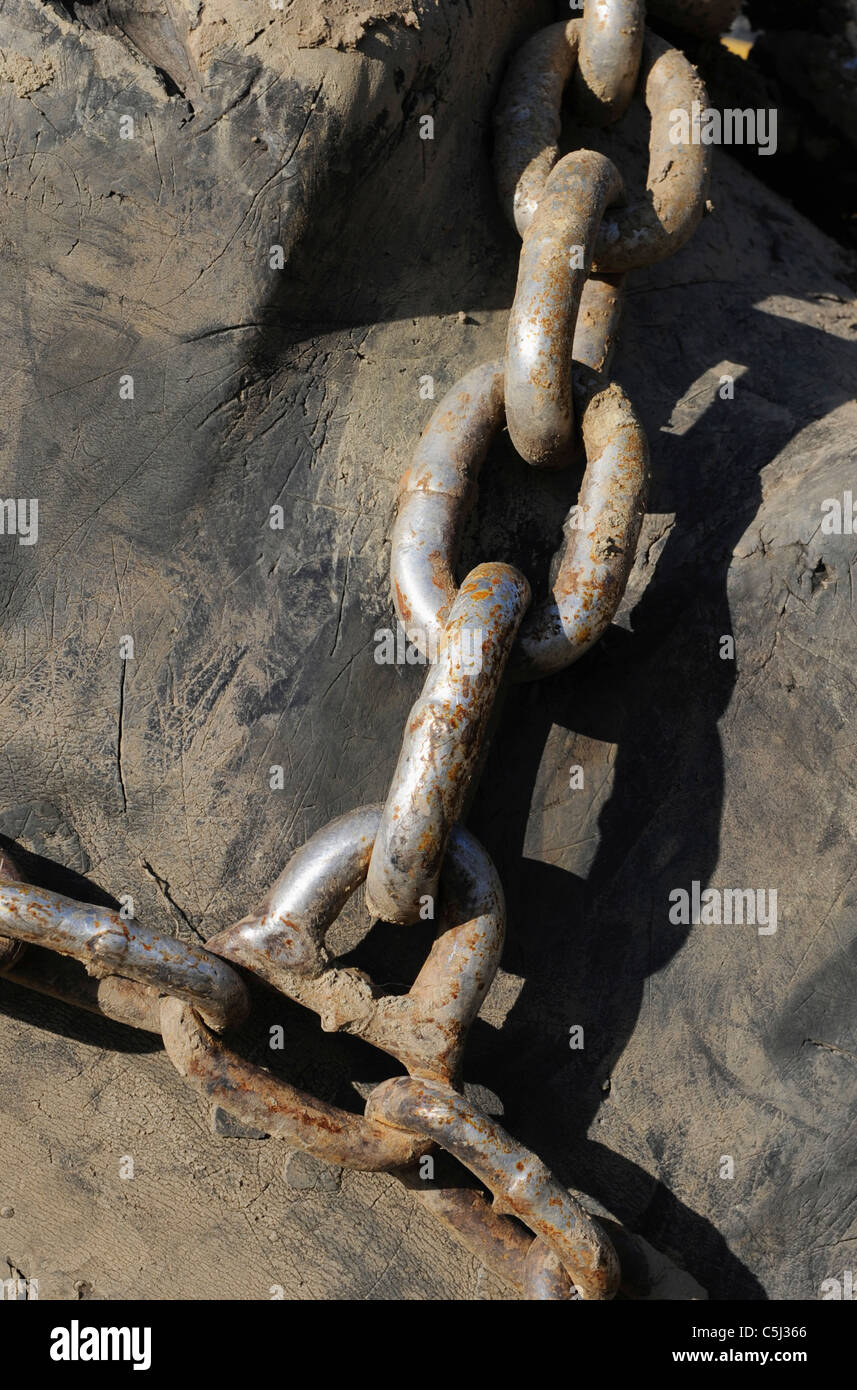 chains on a large tractor tire Stock Photo Alamy