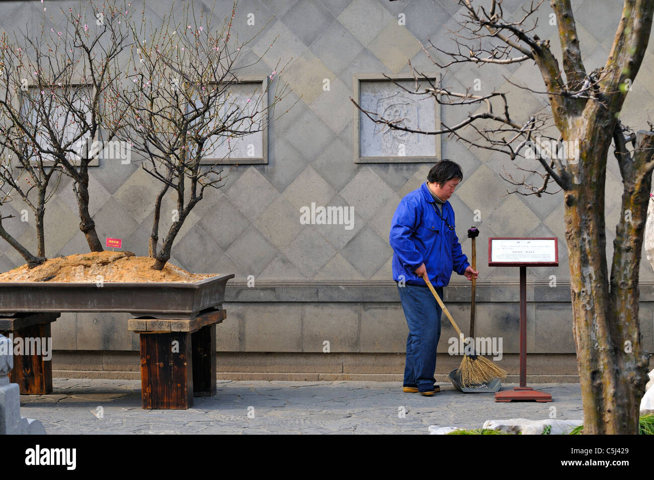 An blue-uniformed attendant tidies up a paved area with shrubs and trees, YuYuan Gardens, Shanghai, China Stock Photo