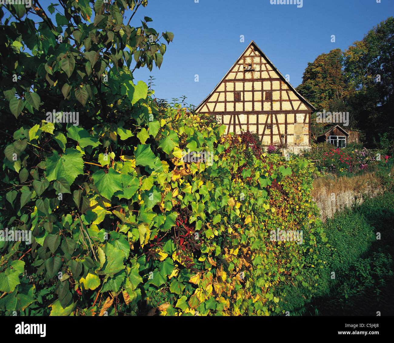 Traditional cottage and garden in the village of Bachlingen near