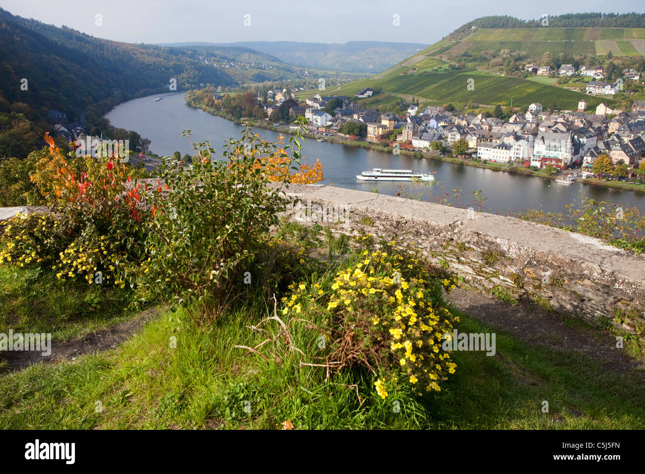 Die Mosel bei Traben-Trarbach, Herbst, Moselle at Traben-Trabach, autumn Stock Photo