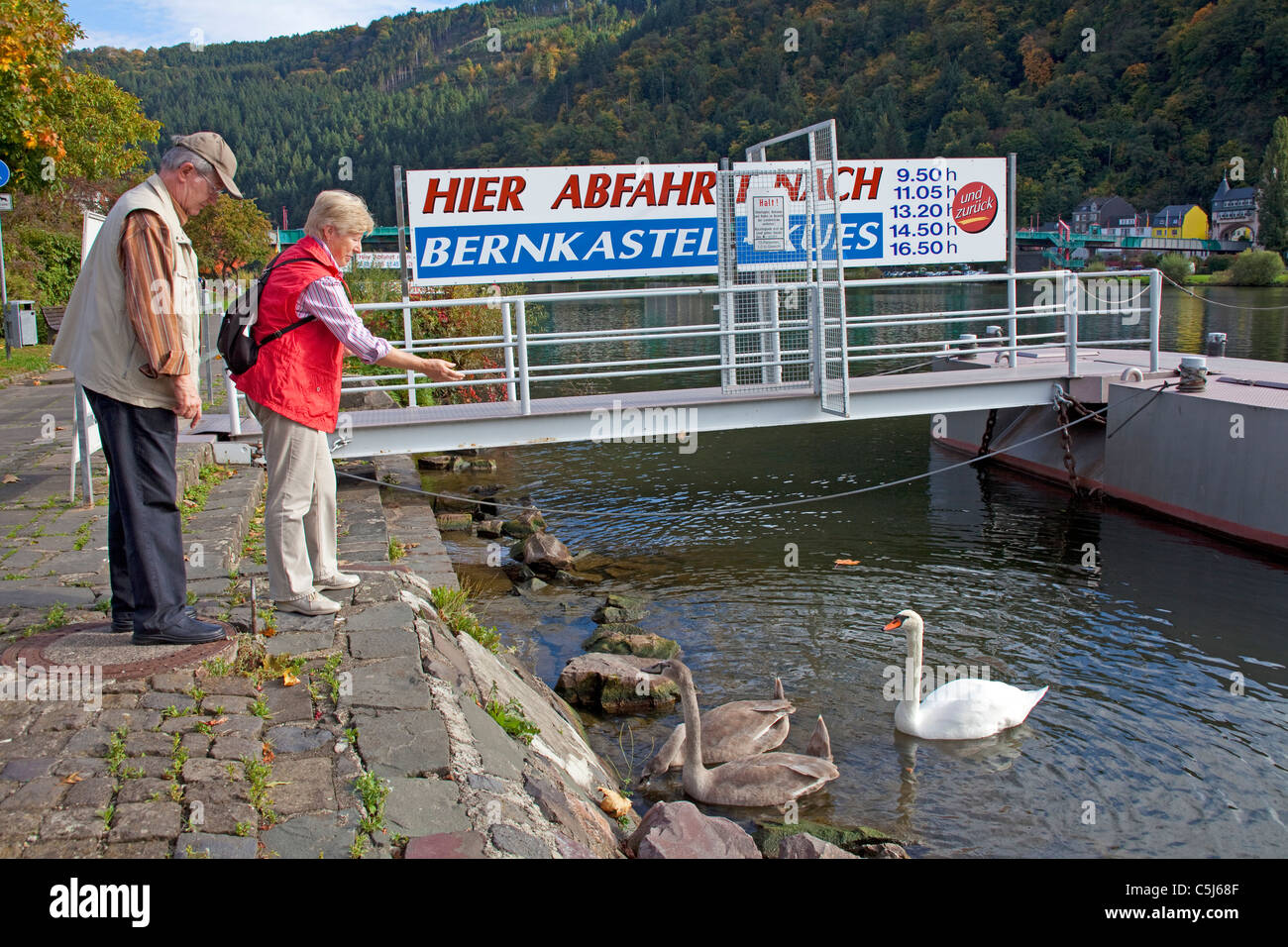 Touristen fuettern Schwaene am Moselufer, Schiffsanleger, Mosel, Old couple feeds swans at the Riverbank, Moselle Stock Photo