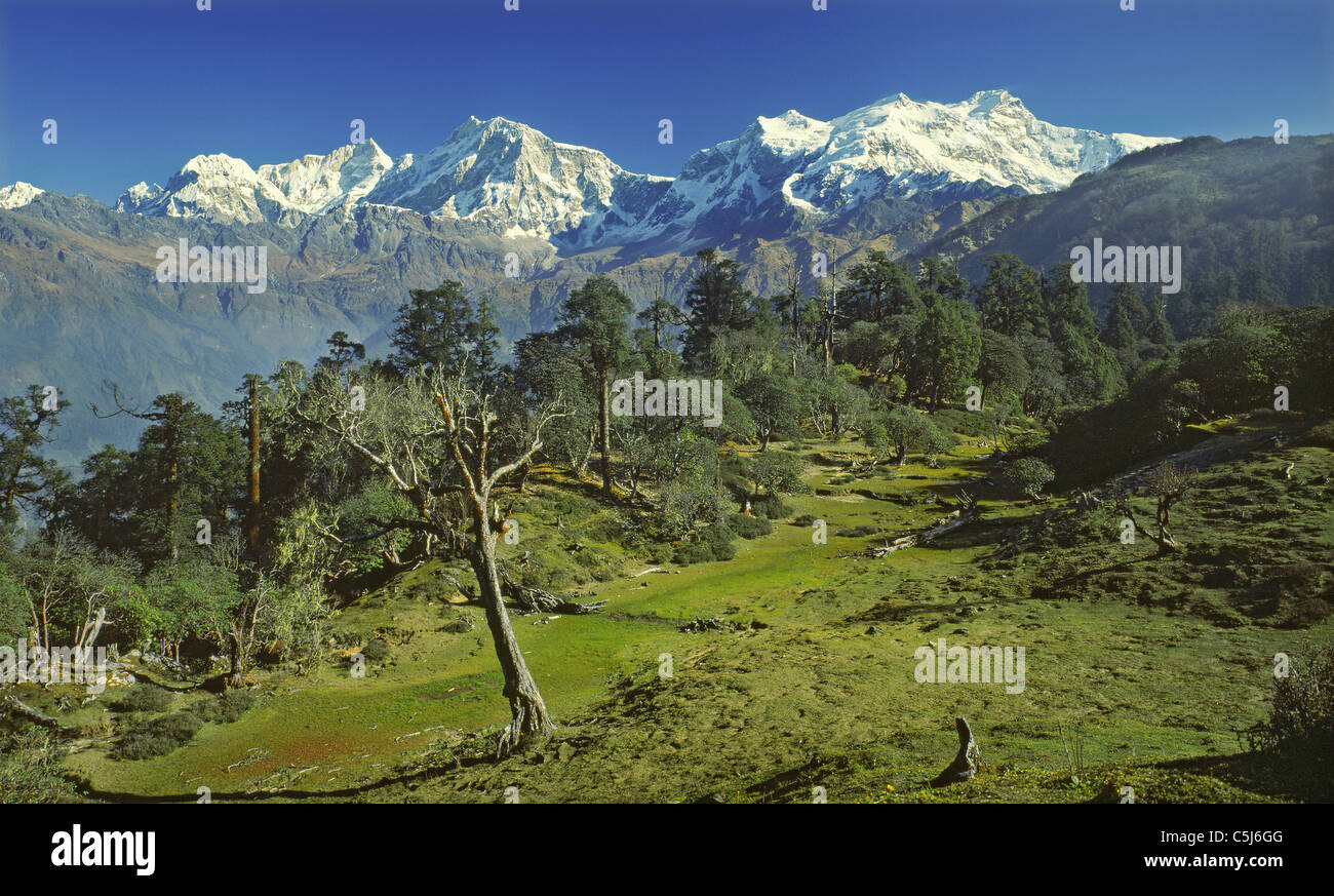 High Wooded Ridge Example Manaslu (left) and Himalchuli, major peaks in north-central Nepal, seen ...