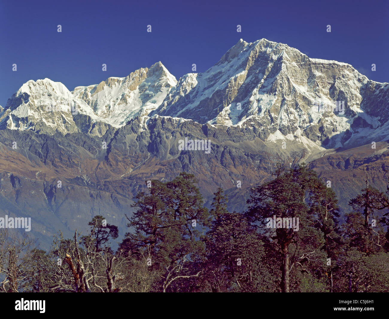 High Wooded Ridge Example Manaslu (left) and Himalchuli, major peaks in north-central Nepal, seen ...
