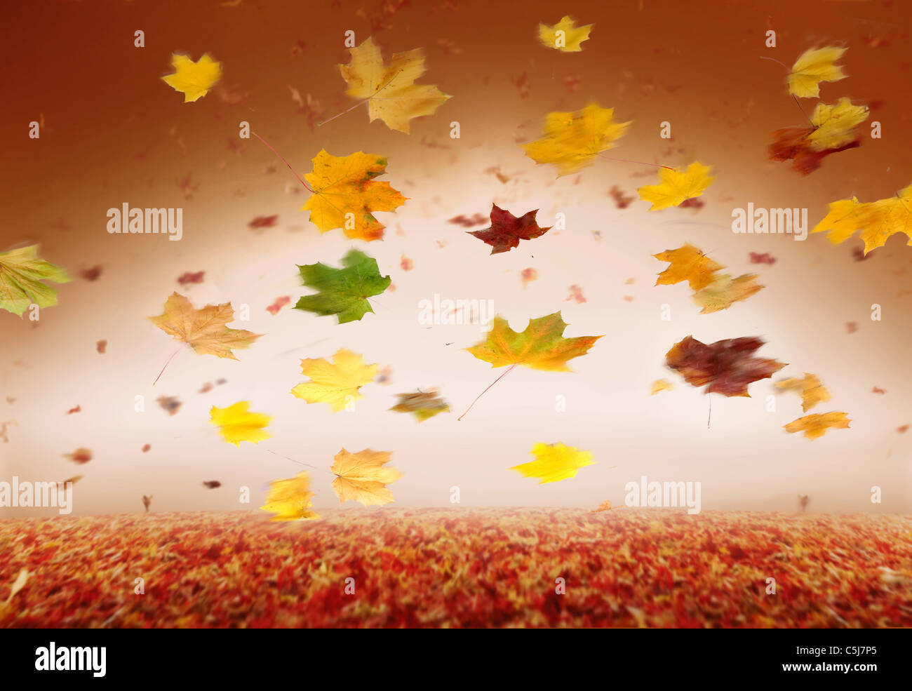Autumn style studio background Stock Photo - Alamy