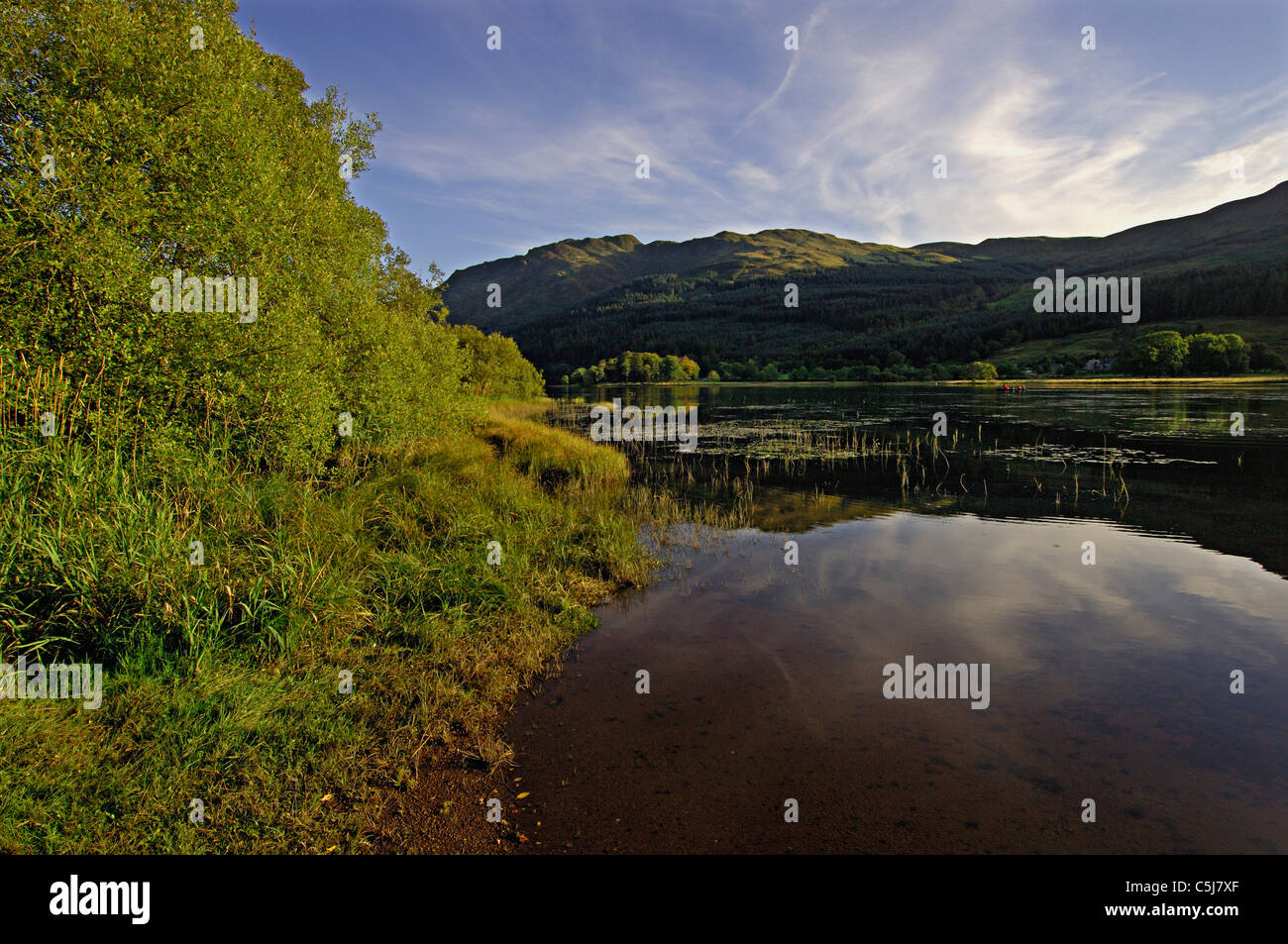 Summer afternoon looking south along Loch Lubnaig, Balqhuidder, with densely-wooded shores and distant hills, western Scotland, Stock Photo
