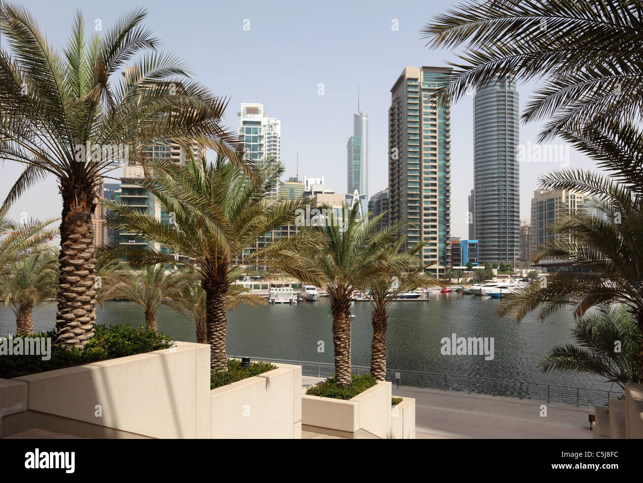 Palm Trees at Dubai Marina, United Arab Emirates Stock Photo