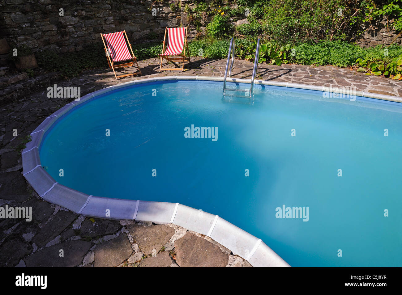 kidney inground pool