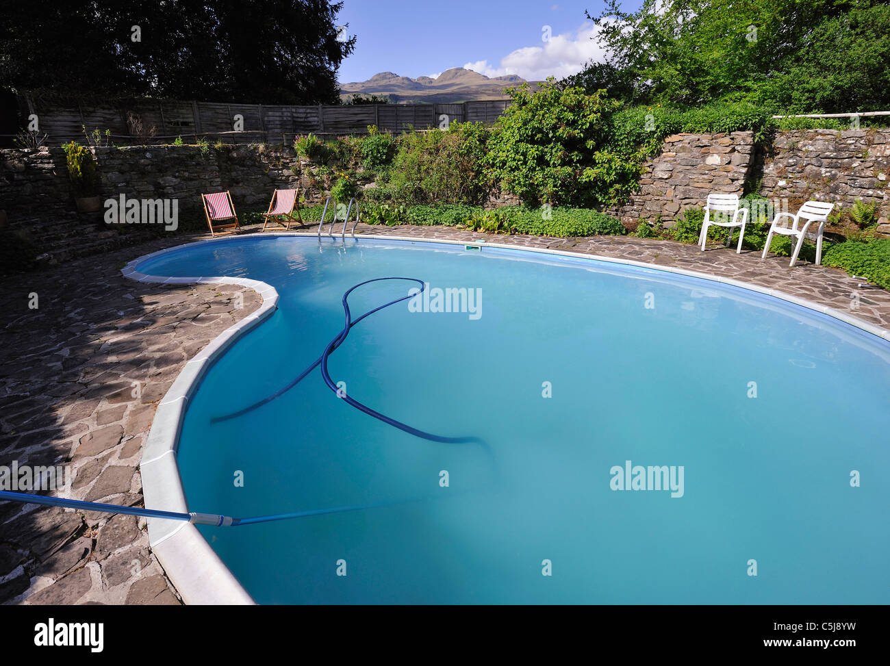 kidney inground pool