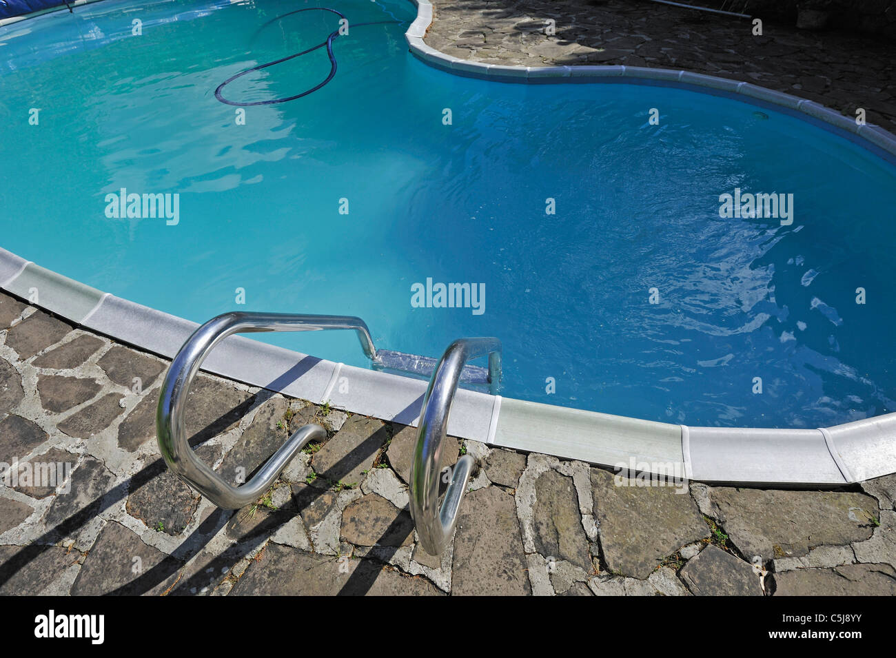 kidney inground pool