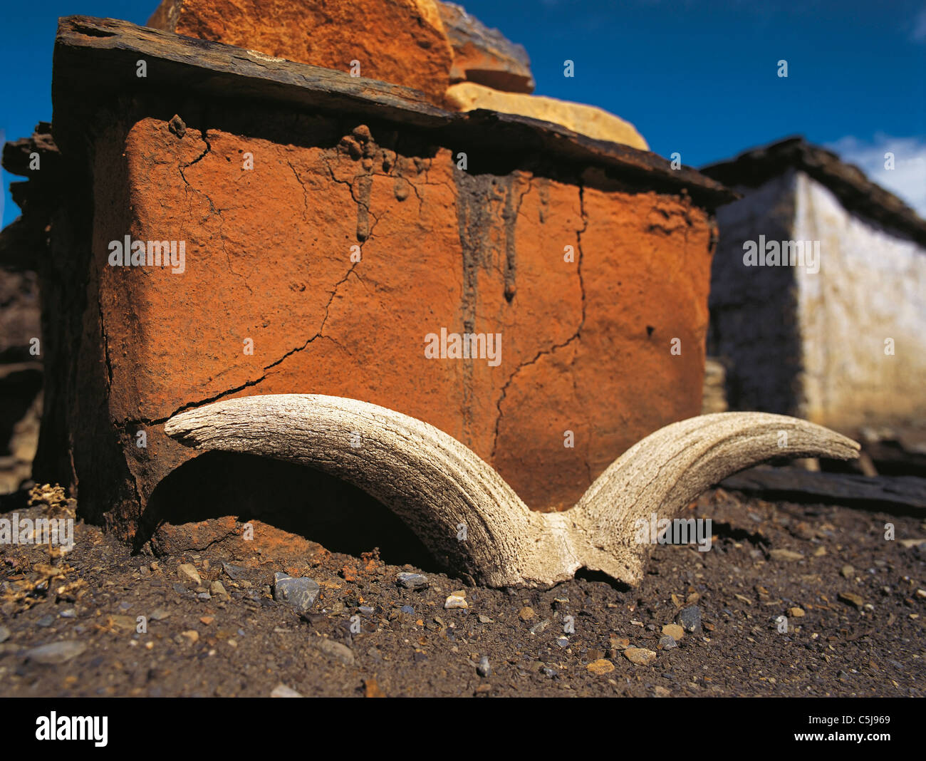 Argali or wild sheep horns left beside a Buddhist shrine or chorten at Jharkot in the Mustang region of west Nepal Stock Photo