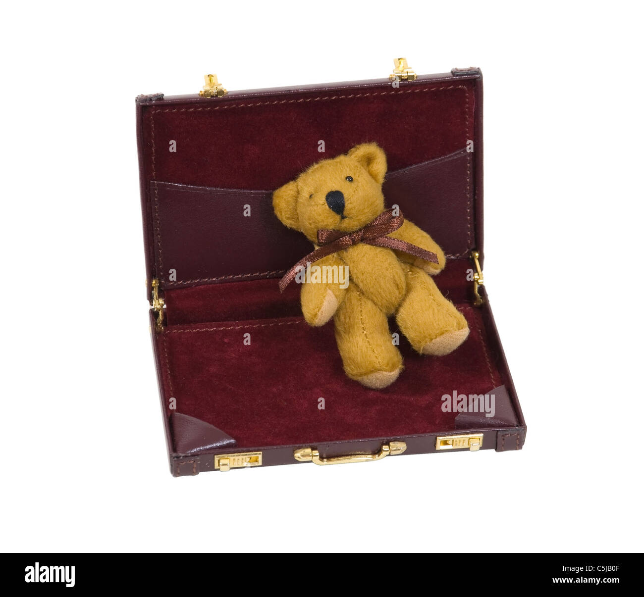 Business security shown by a teddy bear in a briefcase - path included Stock Photo